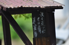 白馬村　夏　№３