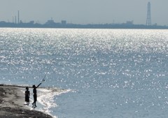 煌めく海