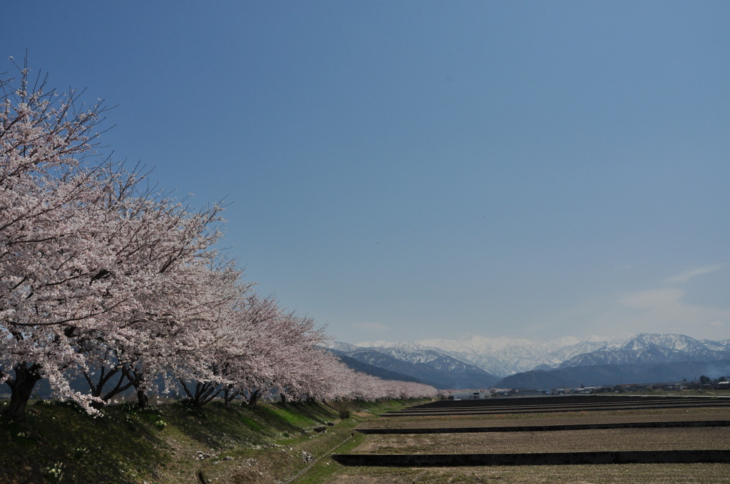 朝日岳遠景