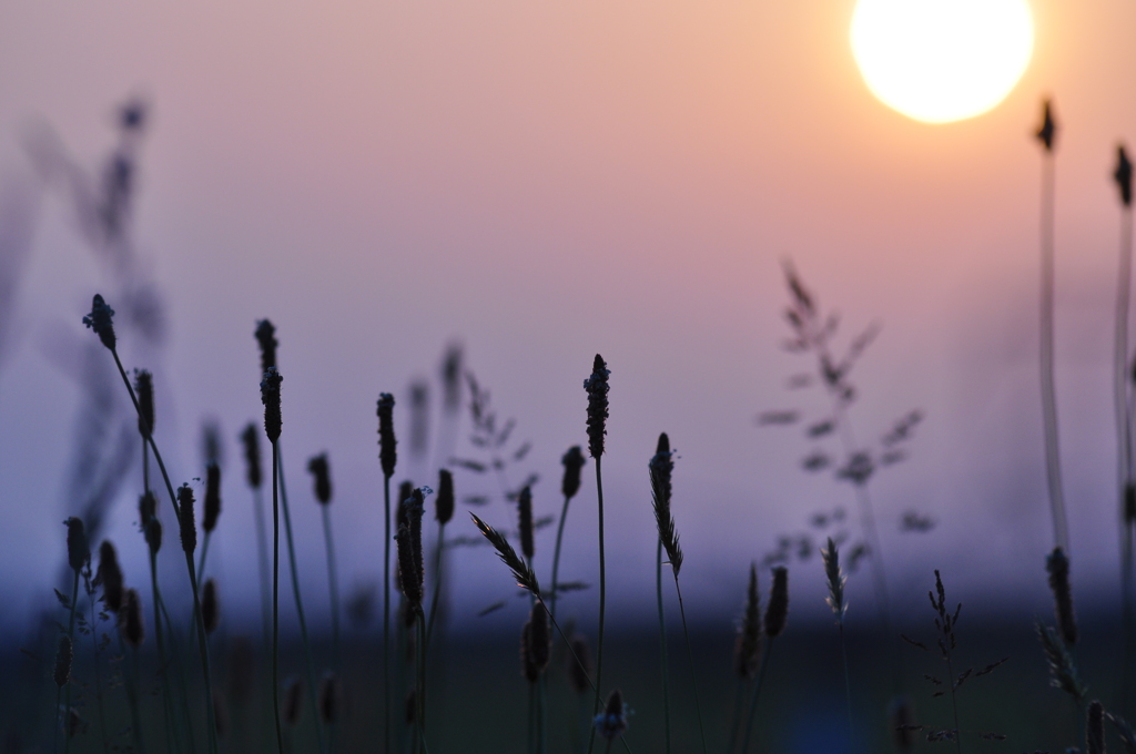 夕景№２