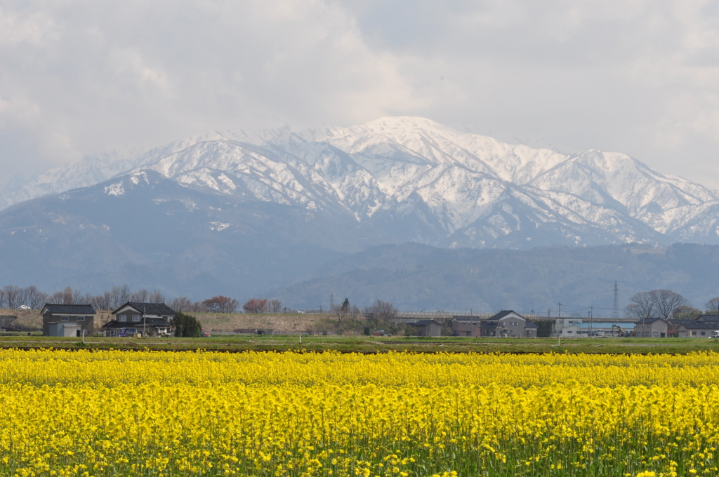 残雪の僧ヶ岳