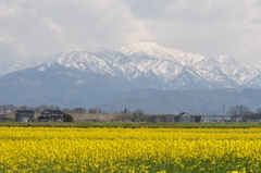 残雪の僧ヶ岳