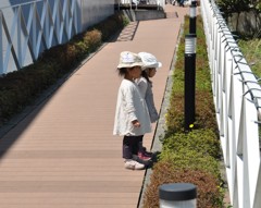 姉妹