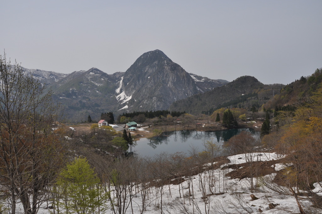 明星山　春