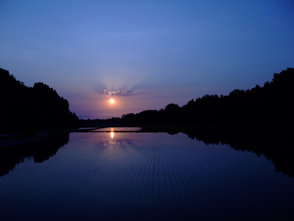 棚田夕景