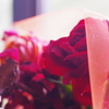 Autumn Rose