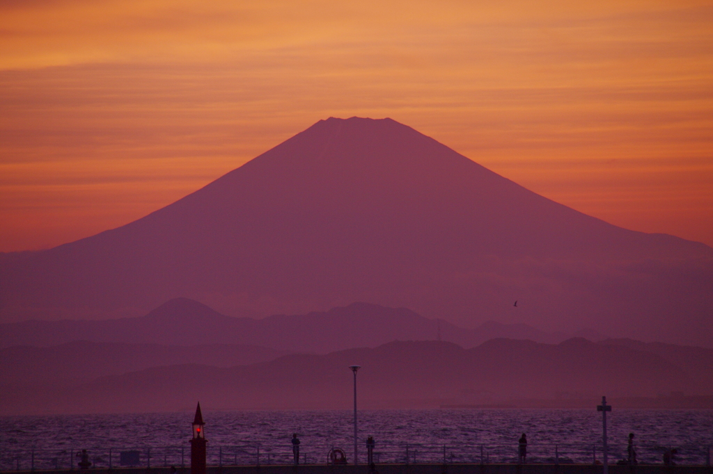 mt. fuji