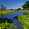 a pond in alpine plant garden
