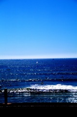 Perfect Blue