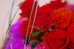 The Roses