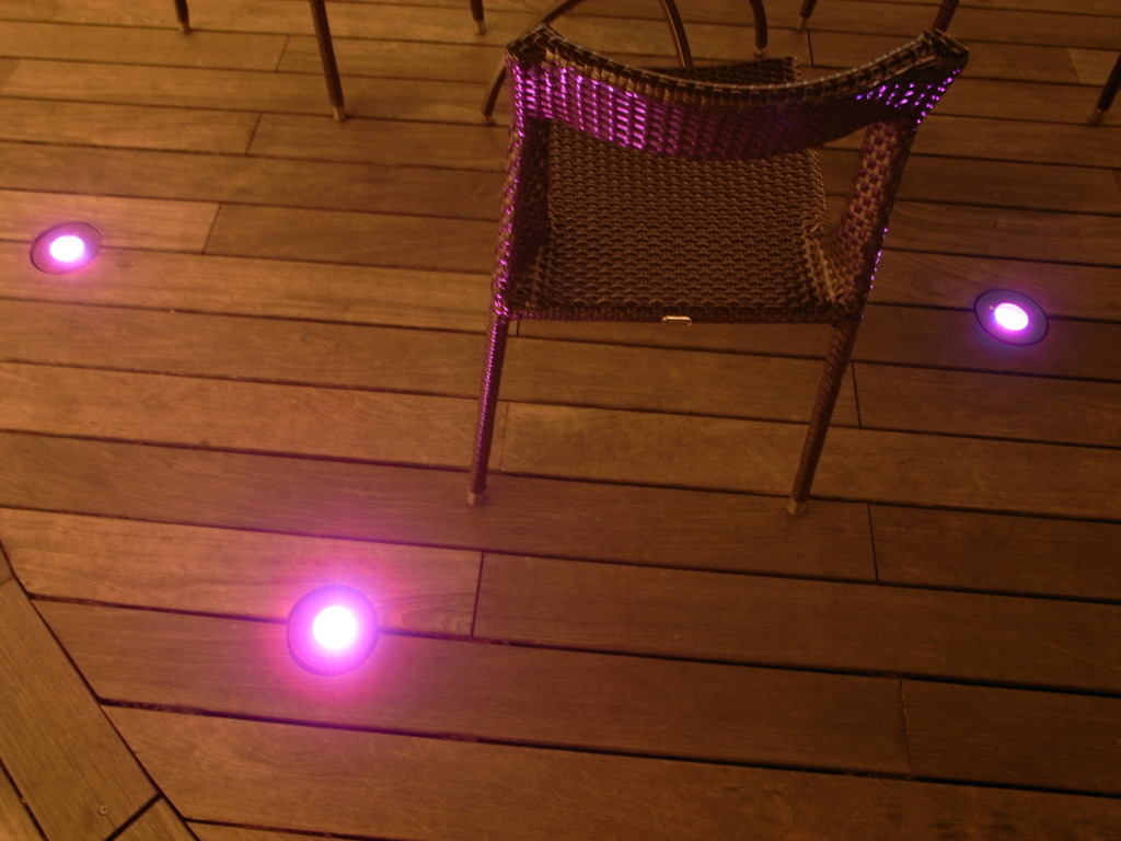 night cruise garden