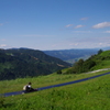 summer bobsleigh