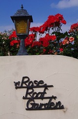 Rose roof garden