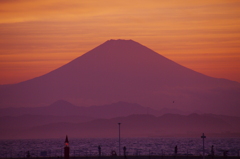 Mt. Fuji