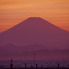 Mt. Fuji