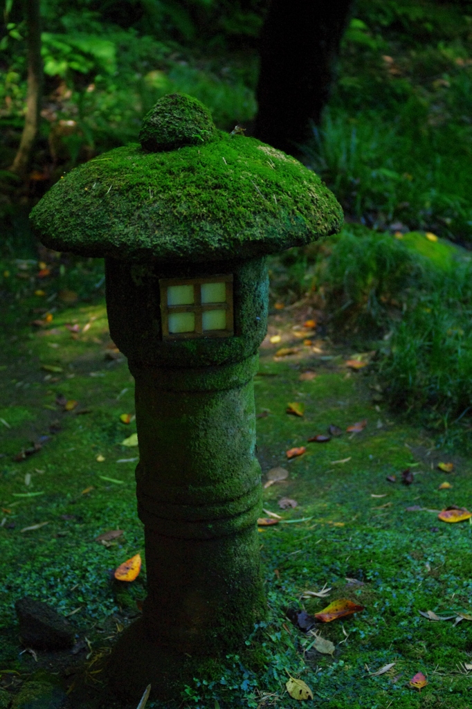 Ever Green1