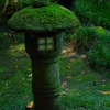 Ever Green1