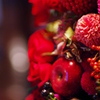 Fruity Red