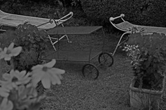 british monochrome4