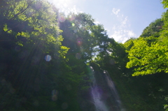 cascade Fudo Falls2:takizawa park