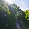 cascade Fudo Falls2:takizawa park