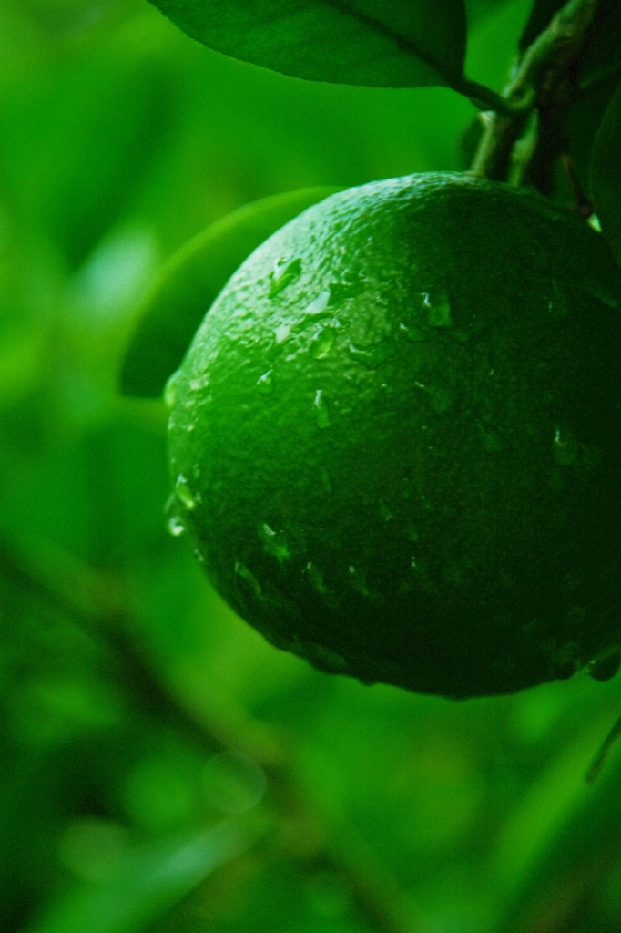orange