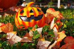 Halloween2