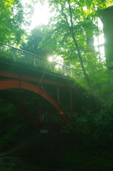 Golf bridge