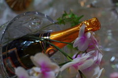 kanpai
