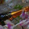 kanpai