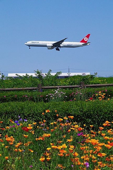 TARKISH Airlines