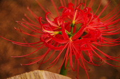 higanvana