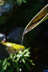 water