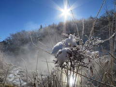 冬の忍野村の朝