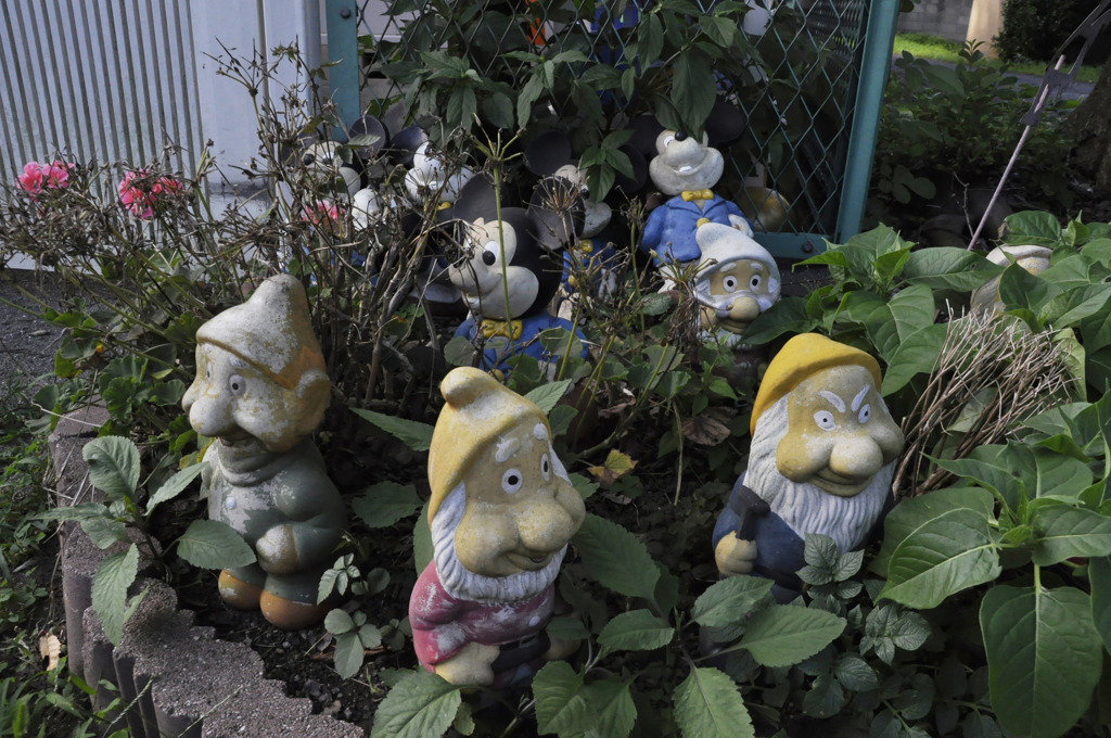 東京・鷺宮住宅の某所にて