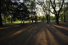 東京都練馬区光が丘公園