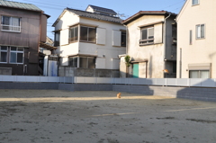 120408地元にてノラ猫物語