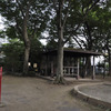 馴染みの公園・夏