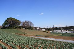 横浜の北海道