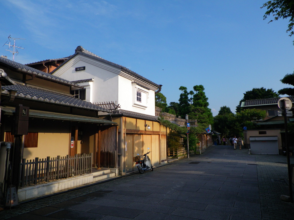 IMGP0263