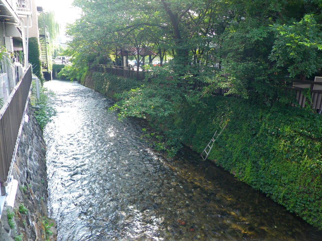 IMGP0244