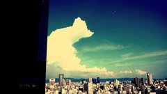クマいづる国