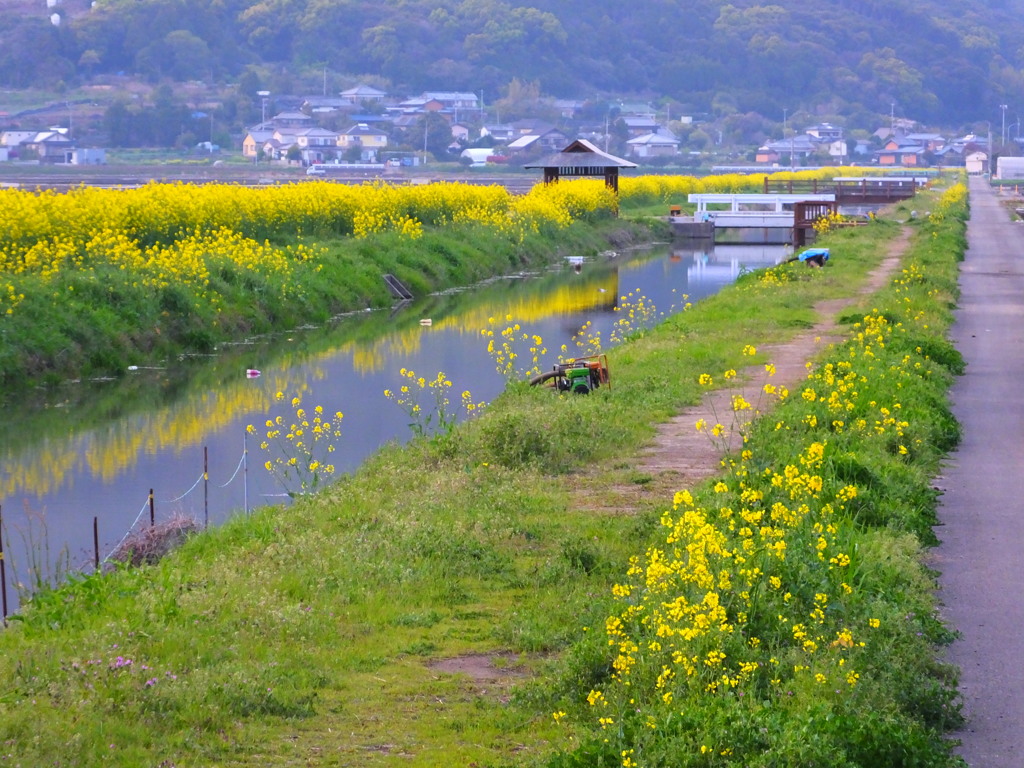 森山の春