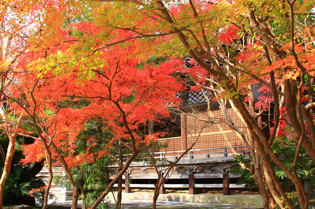 安勝寺の紅葉