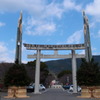 橘公園の大門松