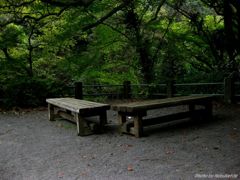 渓谷のベンチ