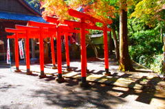 赤い鳥居と紅葉