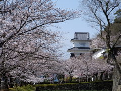 大村神社花まつり