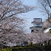 大村神社花まつり