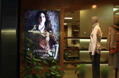 show window